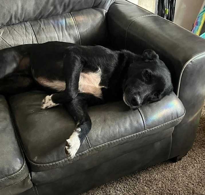 Photo of Kiwi