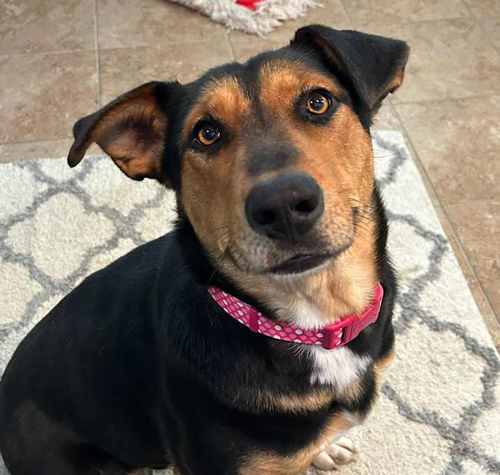 Photo of Lexie