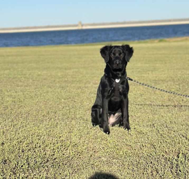 Photo of Kiki