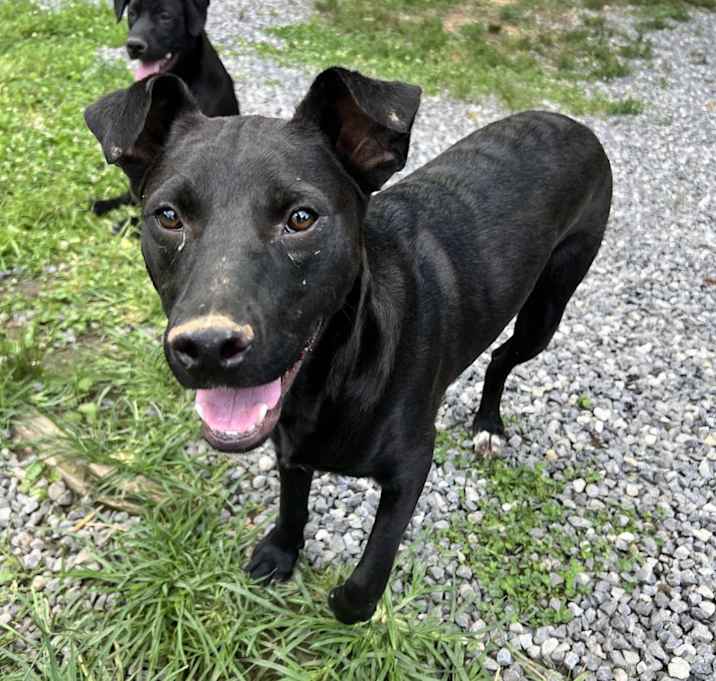 Photo of Harvey