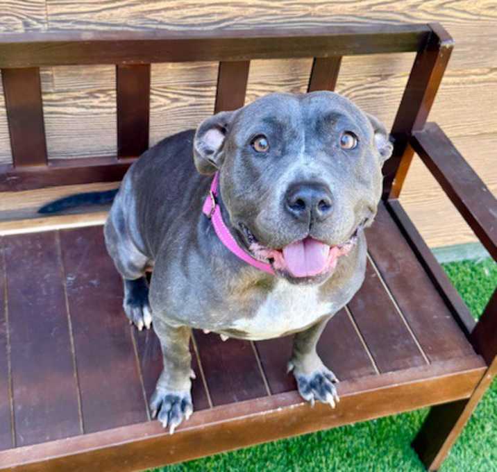 Photo of Betsy