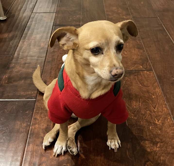 Photo of Chloe