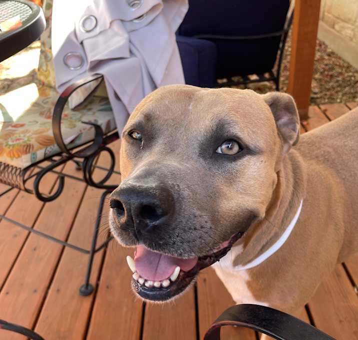 Photo of Murphy