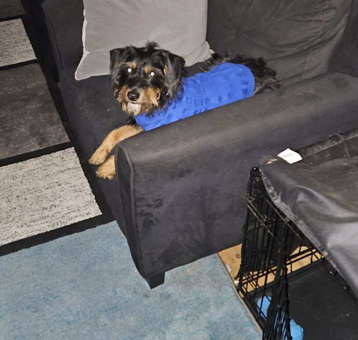 Photo of Cash