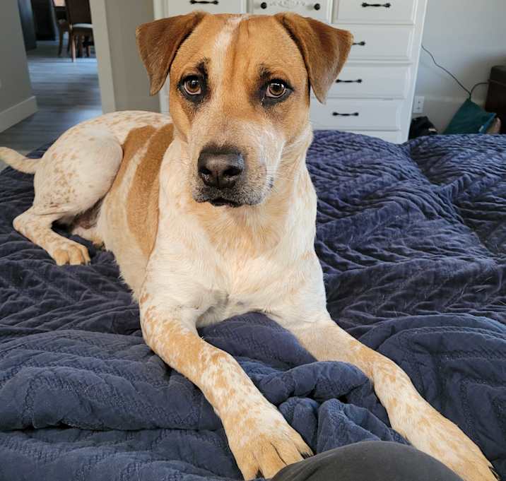 Photo of Lucy