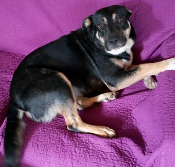 Photo of Izzy