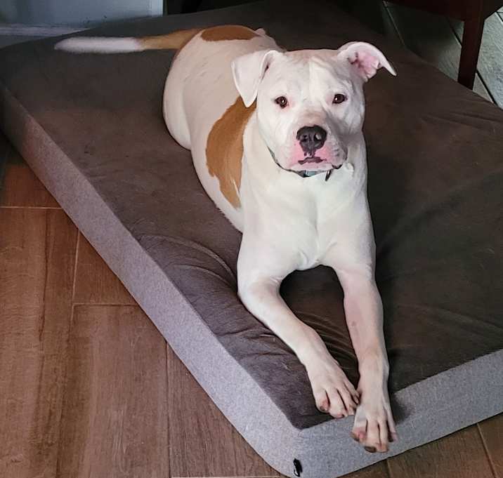 Photo of McGee