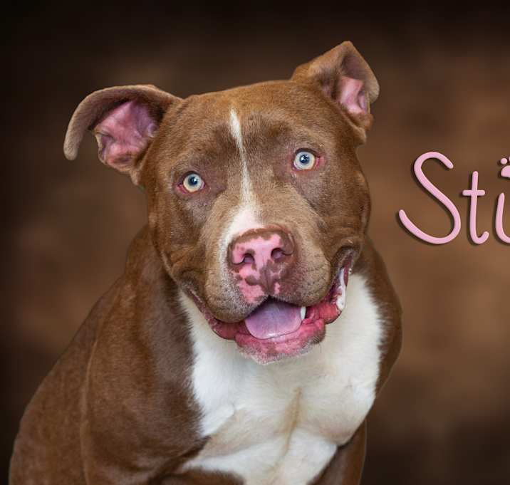 Photo of Stio