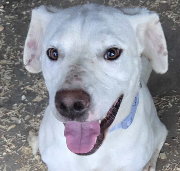 Photo of Maggie