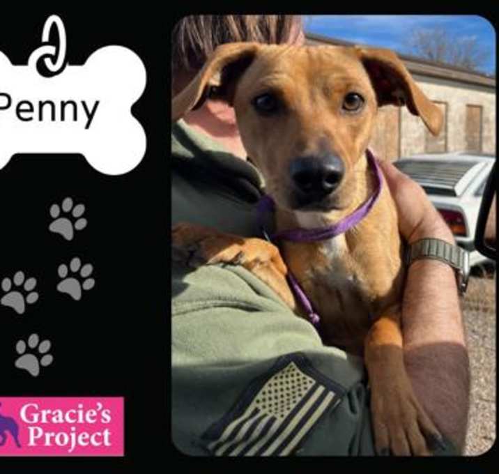 Photo of Penny