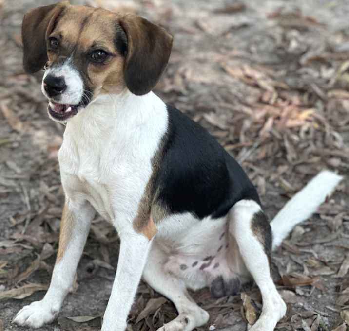 Photo of Murphy
