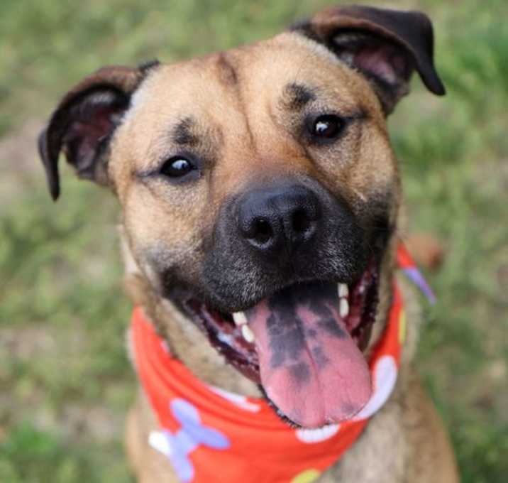 Photo of Mack