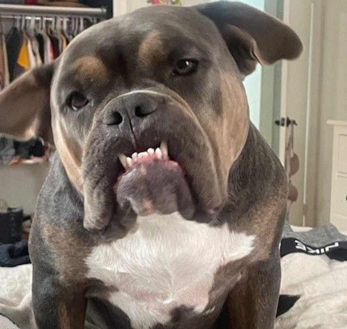 Photo of Lala
