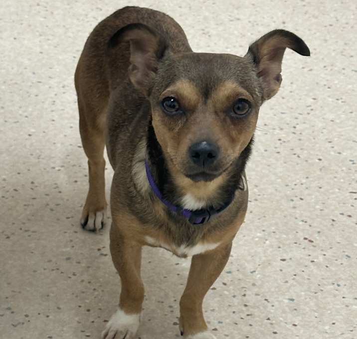 Photo of Ramona