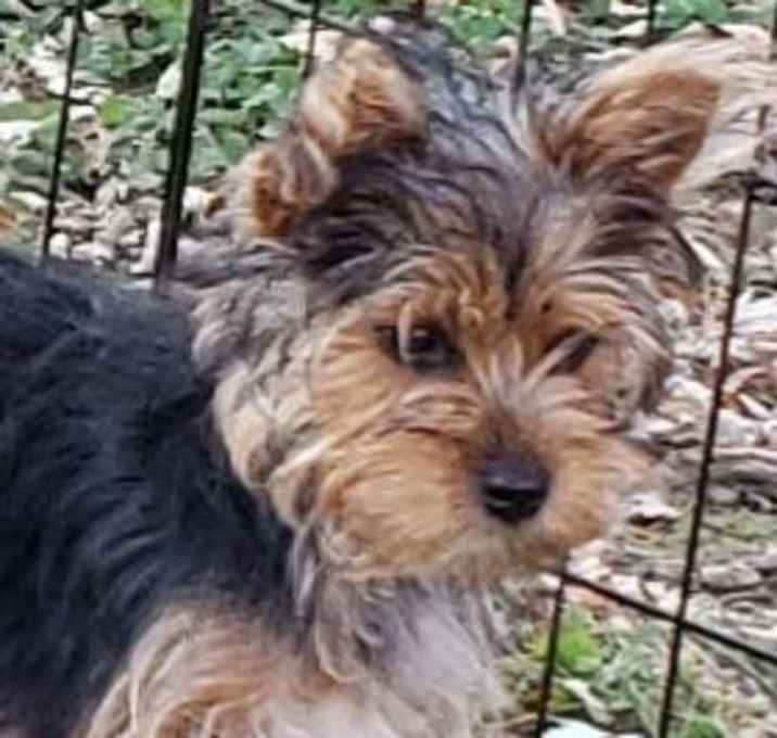 Photo of Nora