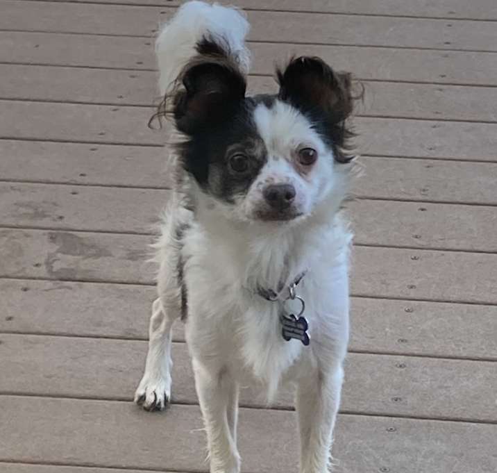 Photo of Mickey