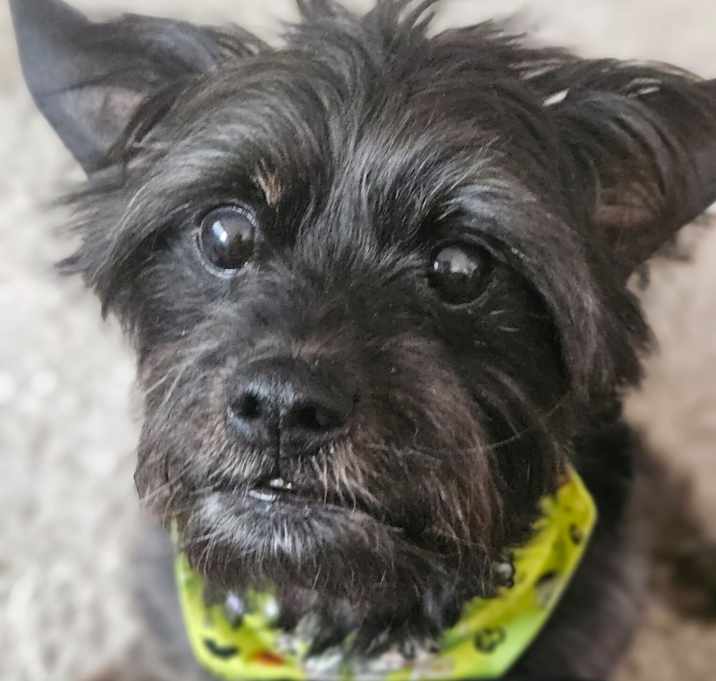 Photo of Max