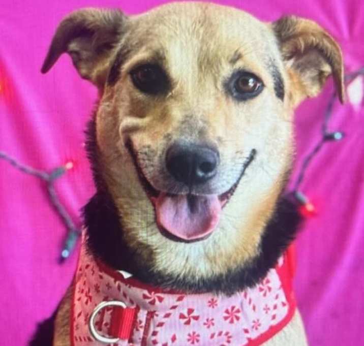 Photo of Natasha