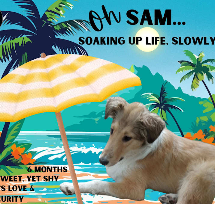 Photo of Sam