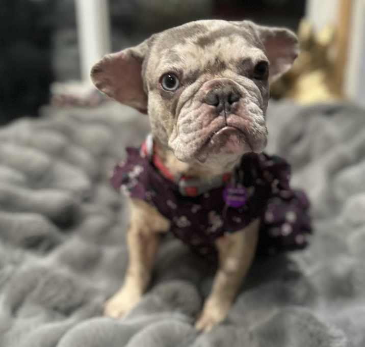 Photo of Emmy