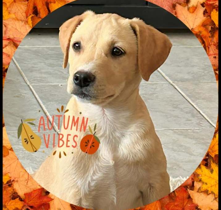 Photo of NUTMEG