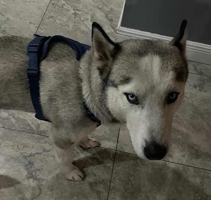 Photo of Dakota