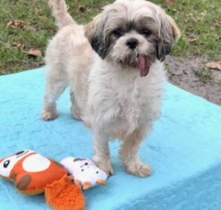 Photo of Marnie