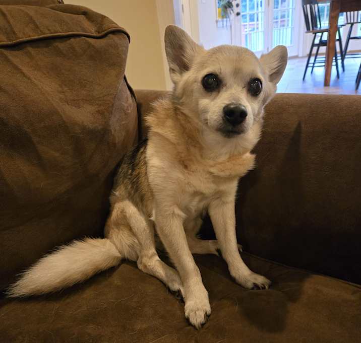 Photo of Arthur