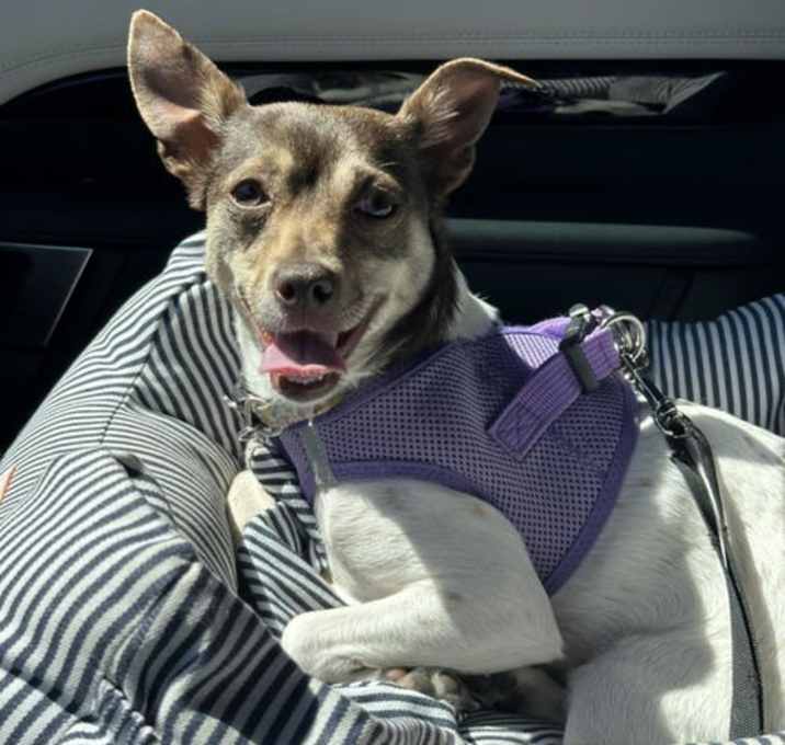 Photo of Ella - F