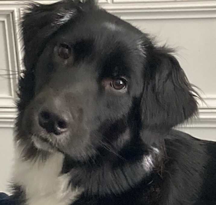 Photo of Persephone