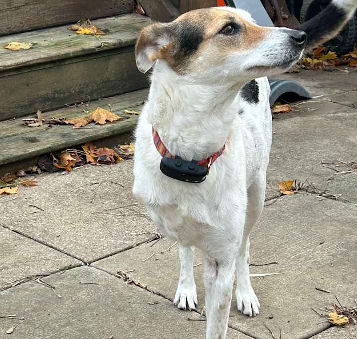 Photo of Delilah