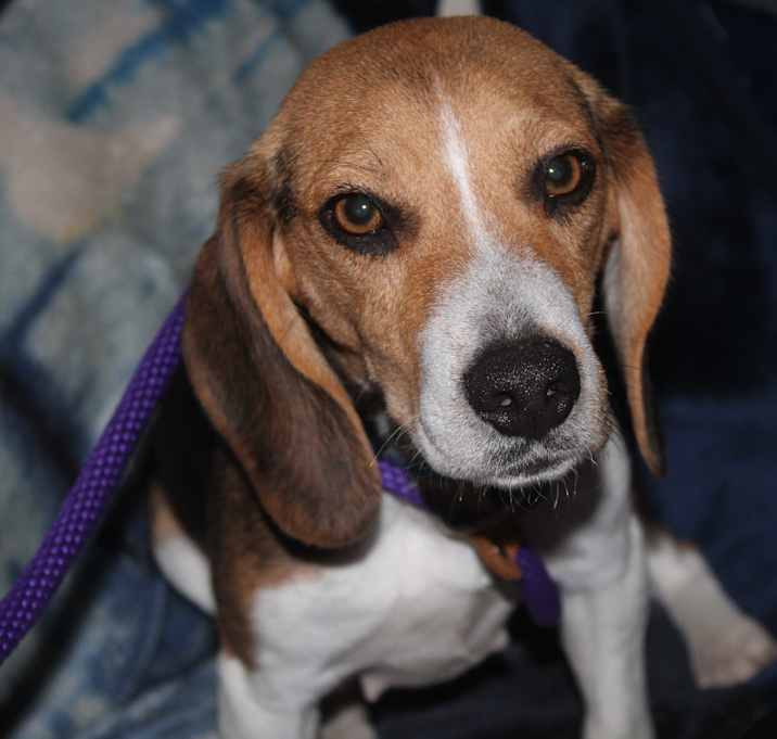 Photo of Lilli