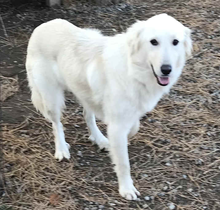 Photo of Cecelia
