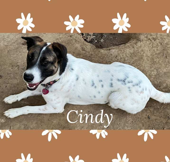 Photo of Cindy