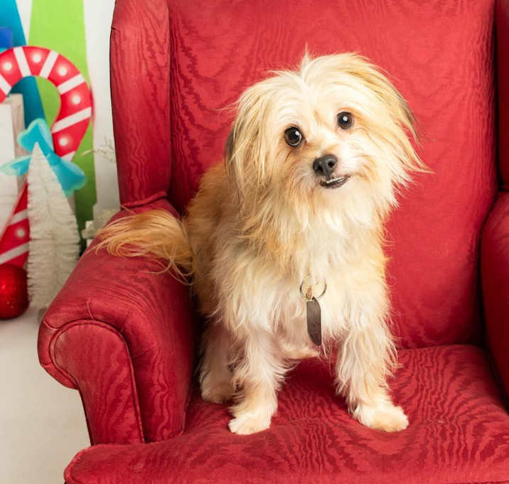 Photo of Trudy