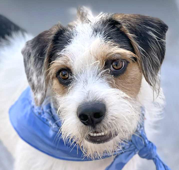 Photo of Alfonso