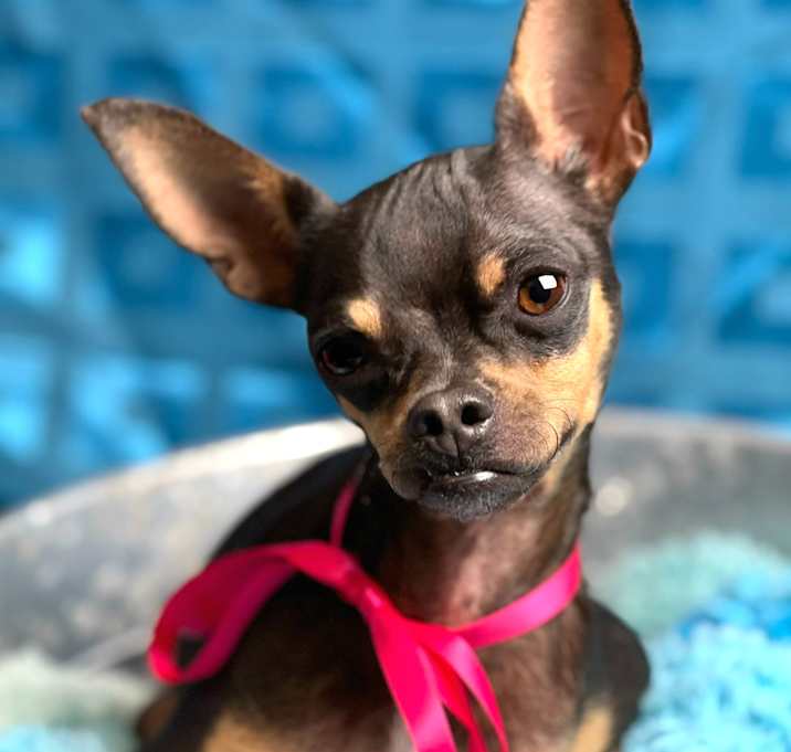 Photo of Nellie