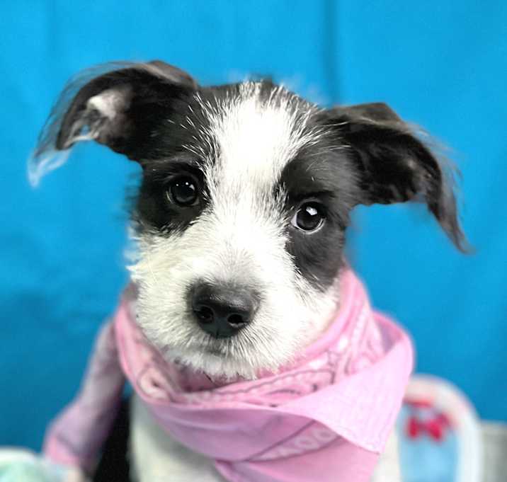 Photo of Jenny