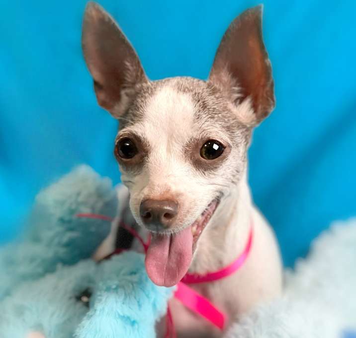 Photo of Ethel