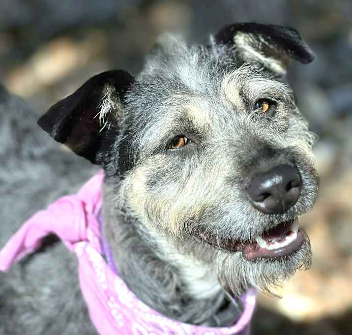 Photo of Madison