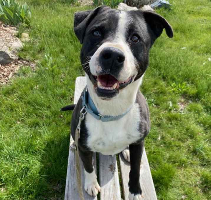 Photo of Mr Wiggles
