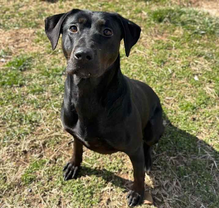 Photo of Luna Trigg