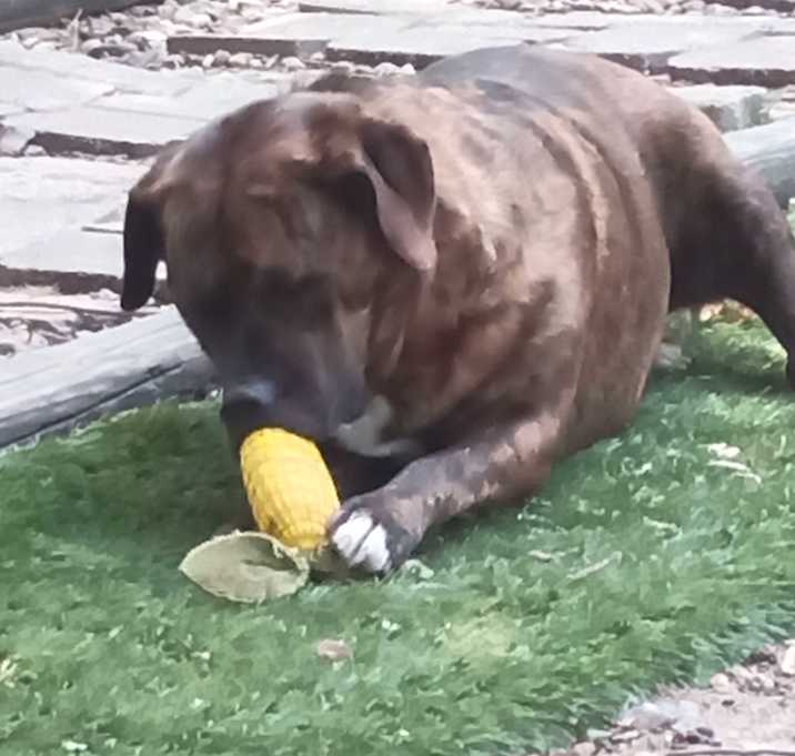 Photo of Molly
