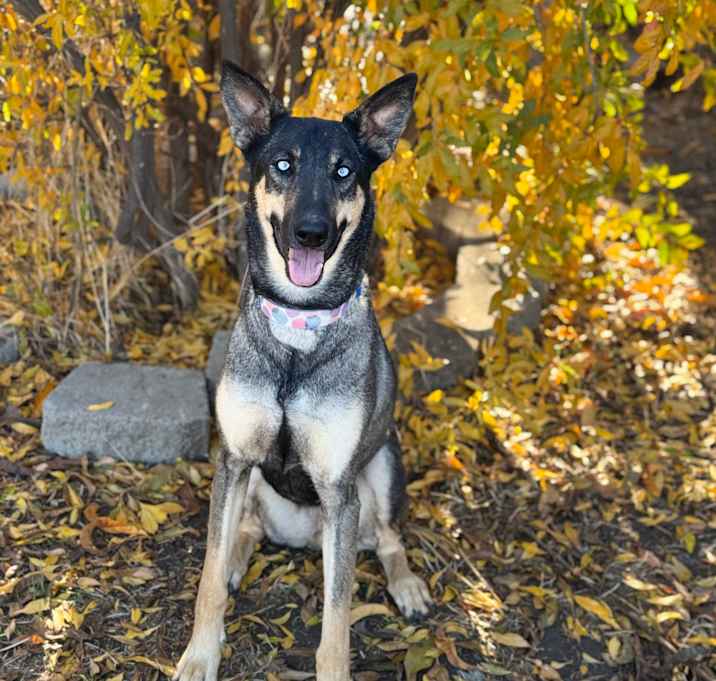 Photo of Aurora