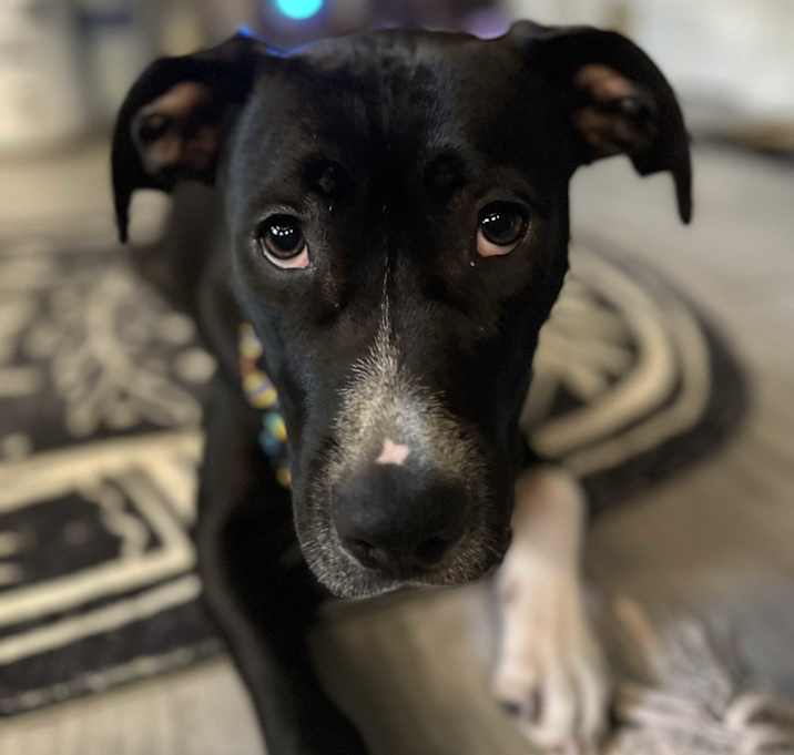 Photo of Lucy