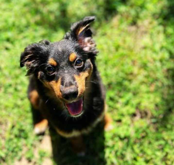 Photo of Mable