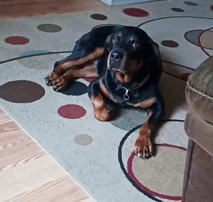 Photo of Mabel