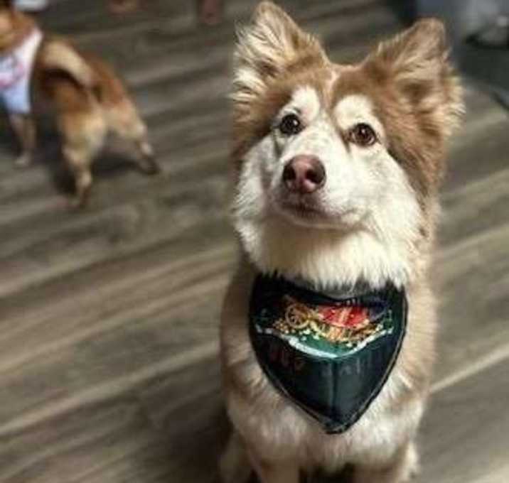 Photo of Reign
