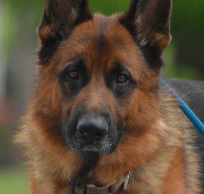 Photo of Rocky Bo