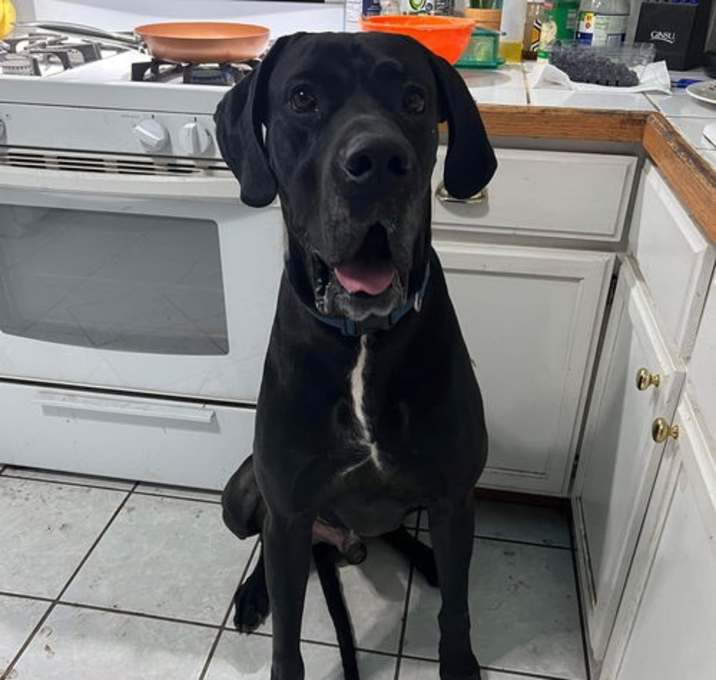 Photo of Rudy *Courtesy Post*